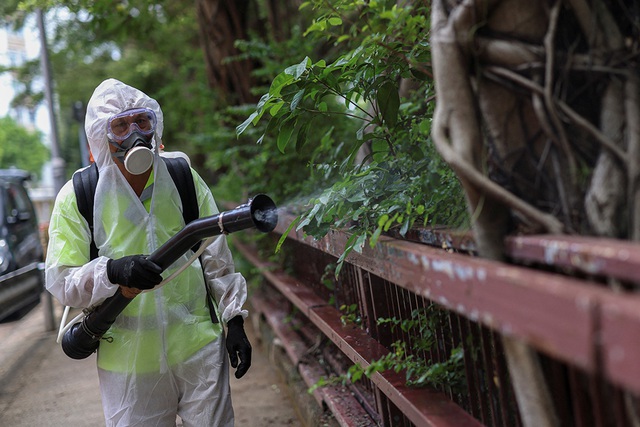 Bệnh chikungunya đang lây lan toàn cầu - Ảnh 1.